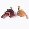 Natural Agate Pendants G-R459-015B-1