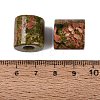Natural Unakite European Beads G-P520-05G-2