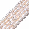 Natural Cultured Freshwater Pearl Beads Strands PEAR-N012-07A-3