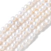 Natural Cultured Freshwater Pearl Beads Strands PEAR-I007-07D-01A-2