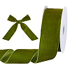 Velvet Ribbon OCOR-WH0078-322B-1