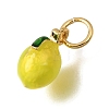 Brass Enamel Pendants KK-G605-13G-01-2