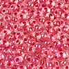 FGB Inside Colours Transparent Glass Seed Beads SEED-T009-01E-2