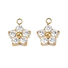 304 Stainless Steel Micro Pave Cubic Zirconia Charms STAS-B088-01G-02-1
