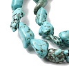 Natural Howlite Beads Strands G-H345-D01-01-4