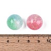 Transparent Resin & Paillette Beads RESI-Q234-06-3