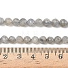 Natural Labradorite Beads Strands G-L642-F07-6mm-5