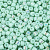 FGB Opaque Colours Glass Seed Beads SEED-Q040-07A-A05-3
