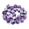 Natural Lepidolite/Purple Mica Stone Beads Strands G-K245-G02-03-2
