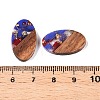 Transparent Resin and Walnut Wood Pendants RESI-T057-03F-3