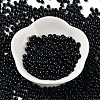 Baking Paint Glass Seed Beads SEED-H002-I-A521-2