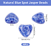 Natural Blue Spot Jasper Beads Strands G-SC0002-09H-2