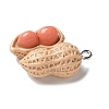 Resin Iron Pendants RESI-D280-17-2