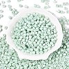 Baking Paint Pearlized Glass Seed Beads SEED-T008-03P-2