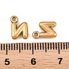 304 Stainless Steel Pendants STAS-S186-12N-G01-3