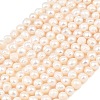 Natural Cultured Freshwater Pearl Beads Strands PEAR-D003-01C-04-2