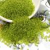 12/0 FGB Grade A Round Glass Seed Beads SEED-Q006-F18-1
