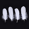 Goose Feather Costume Accessories FIND-T037-04K-1