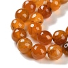 Natural Agate Beads Strands G-M437-B01-01L-4