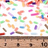 Handmade Polymer Clay Nail Art Decoration Accessories CLAY-T022-07C-3