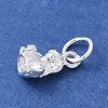 925 Sterling Silver 3D Chinese Zodiac Charms STER-P066-01S-09-2