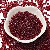 Spray Painted Glass Seed Beads SEED-F005-11A-05-2