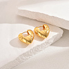 Classic Fashionable Brass Hoop Earrings for Women PJ2124-3-1