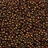 TOHO Round Seed Beads SEED-JPTR08-0618-2