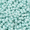 Opaque Colours Luster Glass Seed Beads SEED-B001-01A-08-3