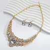 Alloy Rhinestone Bib Necklaces & Dangle Earrrings Sets for Women WG5541E-03-1