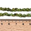 Natural Peridot Beads Strands G-P601-A01-01-5