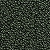11/0 FGB Grade A Baking Paint Glass Seed Beads X-SEED-N001-A-1040-2