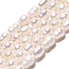 Natural Nucleated Pearl Beads Strands PEAR-N012-02Q-01-2