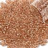 10G Glass Seed Beads SEED-YW0003-11I-1