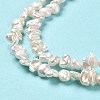 Natural Keshi Pearl Beads Strands PEAR-J007-12-4
