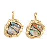 Brass Natural Paua Shell Irregular Pendants KK-I453-01G-03-1