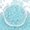 Transparent Colours Glass Seed Beads SEED-P008-01B-01-3