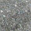 AB Color Plated Glass Seed Beads SEED-L011-06B-14-3