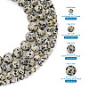 4 Strands 4 Style Natural Dalmatian Jasper Beads Strands G-YS0001-06-3