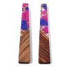 Transparent Resin & Walnut Wood Pendants RESI-N039-67A-2