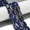 Natural Lapis Lazuli Beads Strands G-P544-B10-01-2