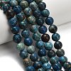 Natural Chrysocolla Beads Strands G-C289-B02-10mm-1