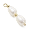 3Pcs 3 Styles Natural Pearl Rice Pendants PALLOY-JF04739-4