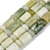Natural Xiuyan Jade Beads Strands G-Q616-09E-02-2