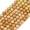 Handmade Lampwork Beads Strand LAMP-B056-8mm-10-2