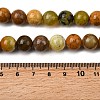 Natural Green Opal Beads Strands G-K245-A17-A05-01-4