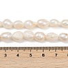 Natural Cultured Freshwater Pearl Beads Strands PEAR-P064-20J-01A-5