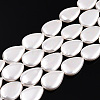Electroplate Natural Freshwater Shell Beads Strands SHEL-R049-026A-1