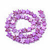 Freshwater Shell Beads Strands SHEL-T014-009E-2