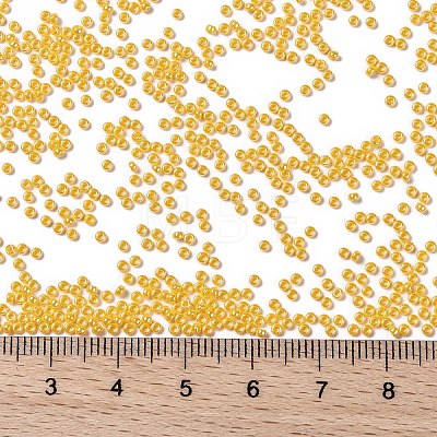 MIYUKI Round Rocailles Beads X-SEED-G009-RR0422D-1